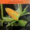 ذرت شیرین