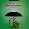 کتاب ضمانت نامه های بانکی چالش ها و راهکارها (با 99 قضیه و مورد نگاری بانکی )