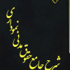 کتاب شرح جامع حقوق مدنی نموداری